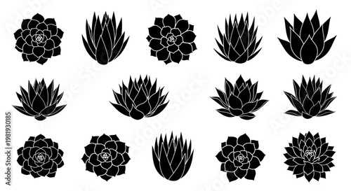 Set of Black Silhouette Succulent Plants Isolated on White Background