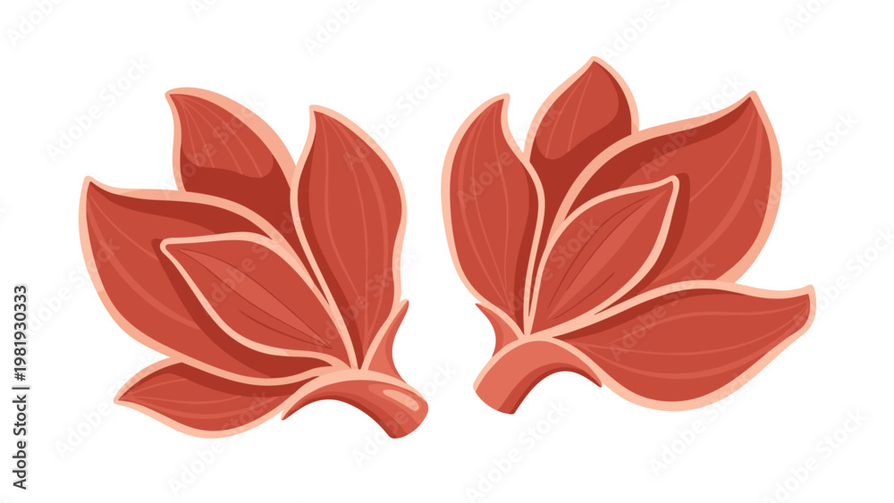 Fototapeta premium Two detailed illustrations of star anise spices with a brownish red color used for culinary cooking and herbal medicine.