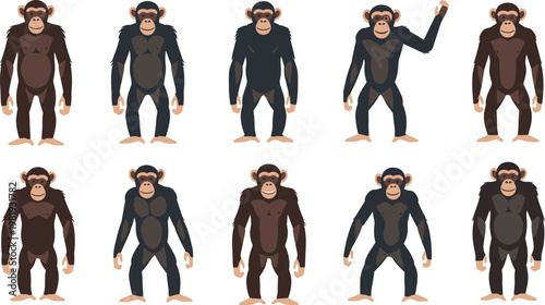 Chimpanzee Cartoon Character Set with Front View Poses, Primate Animal Collection, Standing Positions, Wildlife Illustration, Flat Vector Design.