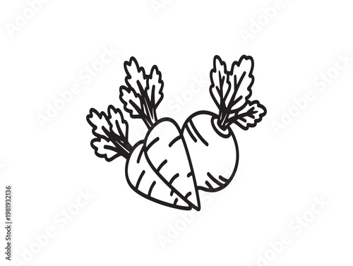 Hand drawn radish illustration a simple sketch of root vegetables with green tops