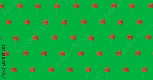 Digital animation of multiple autumn maple leaves in seamless pattern against black background