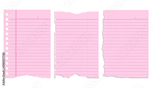 Three pink lined papers, one spiral bound, all ripped at the bottom, edges outlined