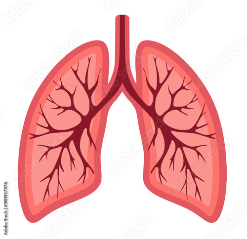 Illustration of human lungs with bronchial branches detailing, depicting the respiratory system and the health of the body's organs. Medical data and healthcare technology