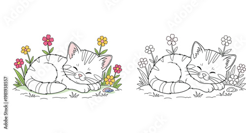 Cute sleeping kitten in spring flowers coloring book page, colored and black outline vector illustration