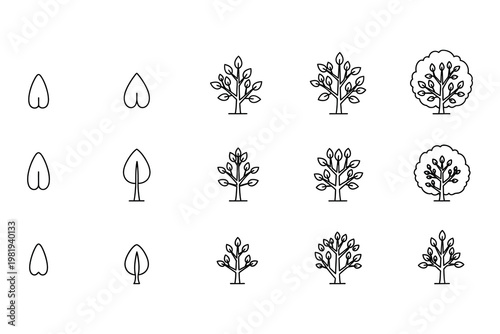 Line art tree growth stages from seedling to mature tree illustration