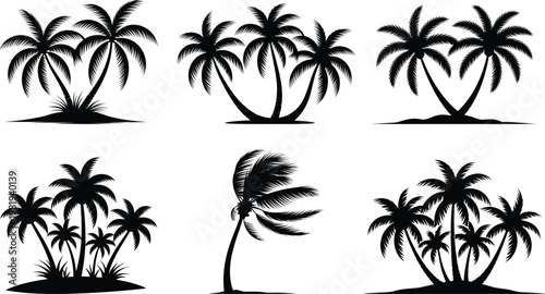 Black silhouettes of various palm trees on white background tropical