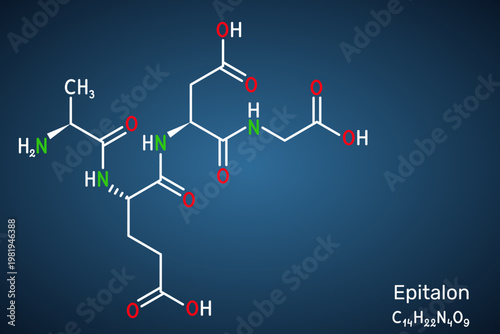 Epitalon tetrapeptide molecule. Synthetic peptide Ala-Glu-Asp-Gly structure. Anti-aging compound and telomerase activator for longevity research. Dark blue background