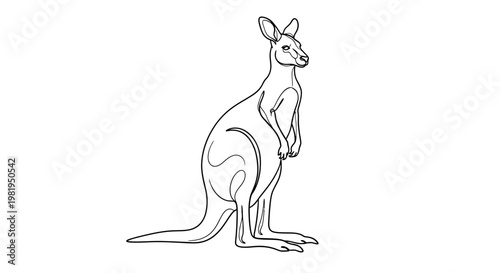 Continuous Line Art Illustration of a Kangaroo Standing, Minimalist Australian Wildlife Vector Sketch Isolated on White