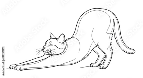 Minimalist Vector Line Art Illustration of a Domestic Cat Stretching on a White Background