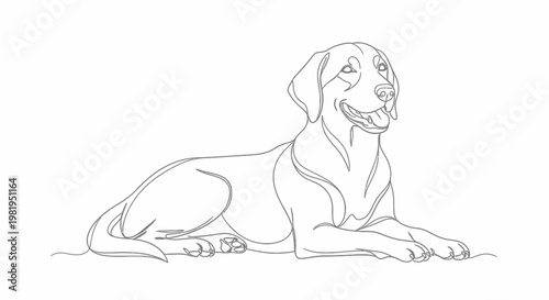 Continuous Single Line Drawing of a Happy Labrador Dog Lying Down, Minimalist Vector Pet Illustration