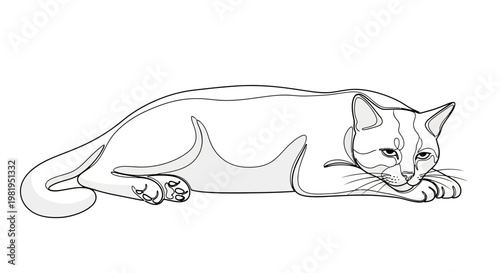 Minimalist Vector Illustration of a Cat Lying Down, Continuous Line Art Style Feline Sketch