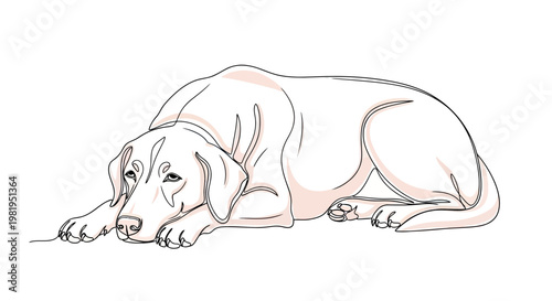 Minimalist Continuous Line Drawing of a Labrador Dog Lying Down, Vector Illustration of a Resting Pet Animal Sketch