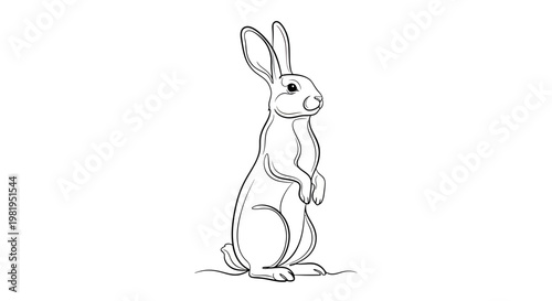 Standing Bunny Rabbit Line Art Vector Illustration of a Wild Hare on White Background