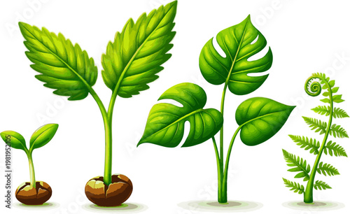 Isolated a realistic kinds of deferent Young green plant vector art with white background..