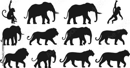 Modern Office Workspace Interior with Desk, Chairs and Storage Cabinets, Minimal Corporate Environment, Clean Professional Workplace Vector Illustration Design.