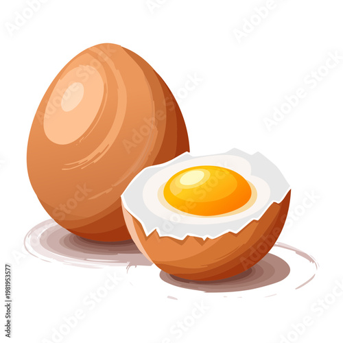 Hard boiled egg cut in half showing yellow yolk for high protein breakfast and healthy diet - Vector Illustration