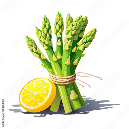 Green asparagus stalks tied with string and lemon for healthy vegan meal and spring vegetable harvest - Vector Illustration