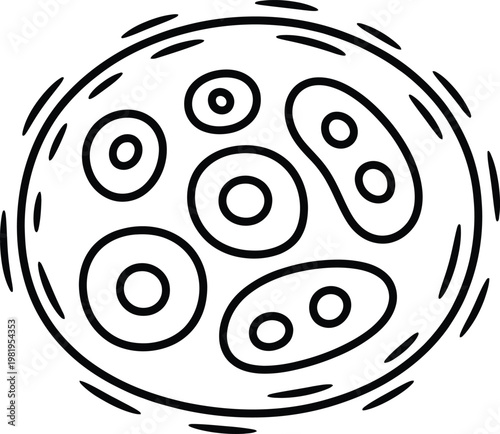 Handpan percussion musical instrument featuring steel tongue construction for melodic sound production and rhythmic drumming sessions