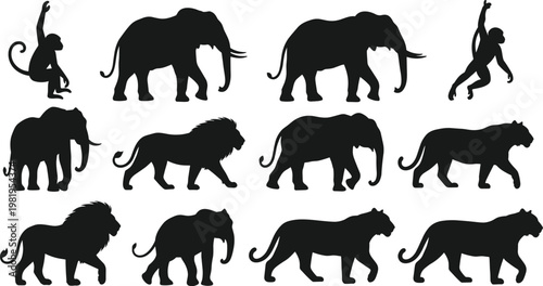 Modern Office Workspace Interior with Desk, Chairs and Storage Cabinets, Minimal Corporate Environment, Clean Professional Workplace Vector Illustration Design.