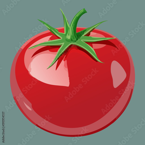 Healthy organic red tomato for nutritious cooking and fresh vegetable salad in modern kitchen and diet - Vector Illustration