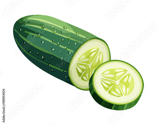 Fresh green cucumber and slices for healthy vegetable salad and organic diet nutrition for vegetarian snack meal - Vector Illustration