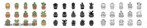 Collection of colorful and black and white cactus in pots with various patterns plants