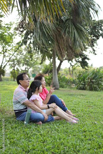 Low Angle with Palm Trees and Sky