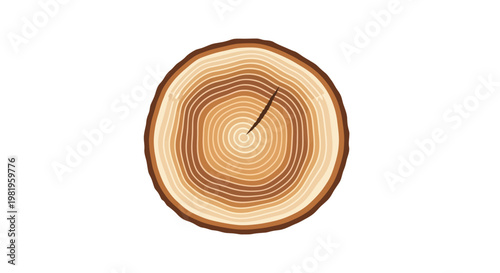 Detailed cross-section of a tree trunk with annual growth rings.