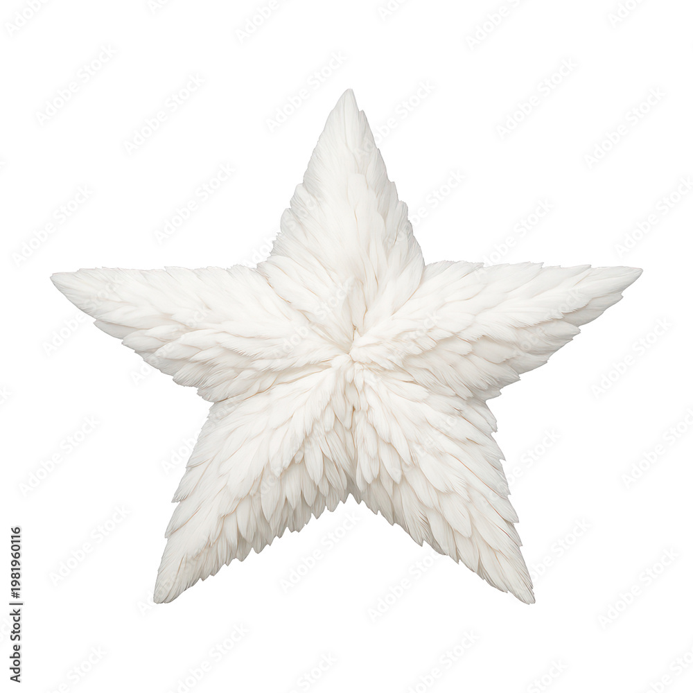 Fototapeta premium PNG White feathered star decoration