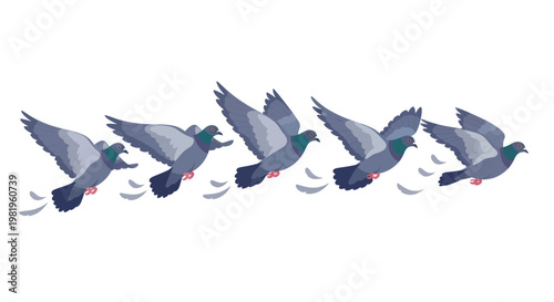 Flock of Pigeons Flying in Sequence