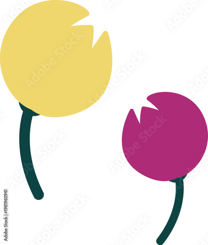 Two colorful flowers on stems