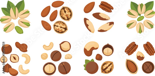 Mixed Nuts Collection with Various Types and Variations for Healthy Snack, Food, and Nutrition Designs