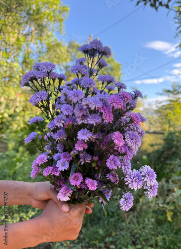 Hand Holding Purple Wildflower Bouquet in Natural Garden with Blue Sky Background