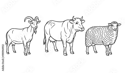 Qurbani animals line art black and white vector set with goat cow and sheep