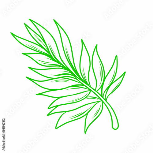 vector illustration of a green leaf
