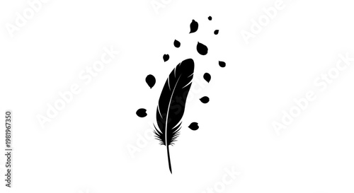 Black Feather Floating in Air.