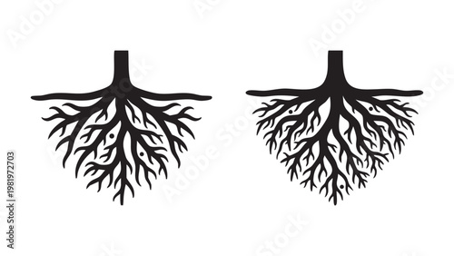 Human lungs with branching airways