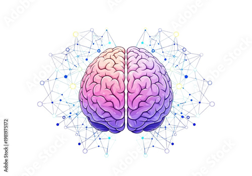 Abstract representation of human brain with intricate neural network connections symbolizing cognition, intelligence, and neurological science in vibrant colors
