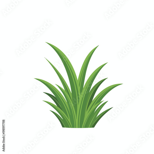 Lush Green Grass Plant for Nature and Garden Decor