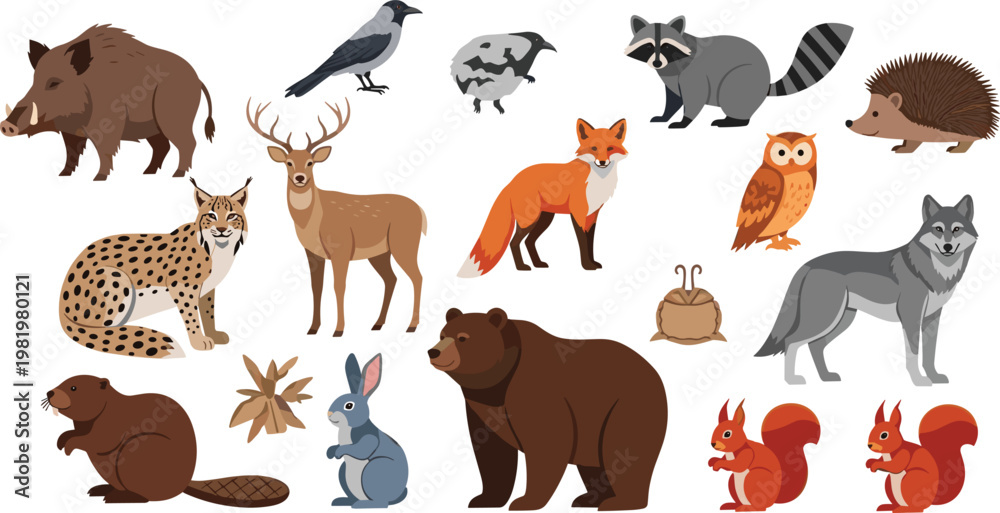 Obraz premium Woodland Forest Animal Vector Icon Set Featuring Bear, Wolf, Fox, Deer, Owl, and Raccoon Illustrations for Nature Education, Nursery Decor, and Wildlife Branding Projects