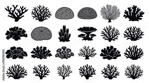 Underwater Coral Reef Organisms Vector Set - Marine Life Black  White Silhouettes