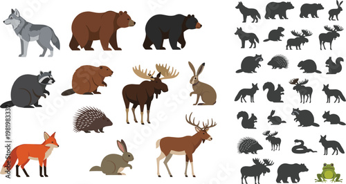 Woodland Forest Animal Vector Collection with Detailed Illustrations and Silhouettes Featuring Wolf Bear Moose Fox Raccoon Deer and Beaver for Nature Design Projects