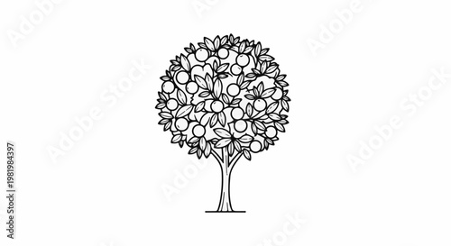 Stylized line art of a round, leafy tree laden with fruit