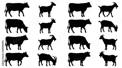 Black and White Silhouettes of Cows and Goats on White Background