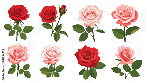 Detailed collection of eight beautiful rose illustrations in various shades of red and pink with green leaves and buds.