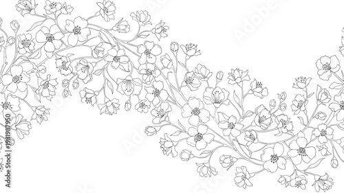Beautiful black and white line art illustration featuring intricate floral branches and delicate blossoms on a clean white background.