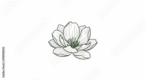 Stylized delicate flower with thin green lines on white background