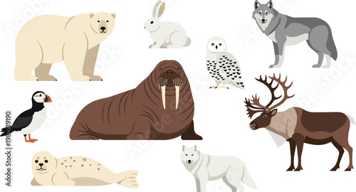 Arctic and Polar Wildlife Vector Set Featuring Polar Bear Walrus Reindeer Snowy Owl Puffin Wolf Seal and Arctic Hare for Winter Nature Graphic Designs