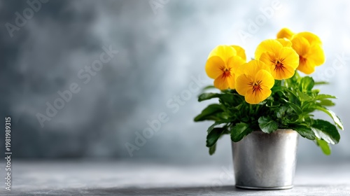 A vibrant arrangement of cheerful yellow pansies in a rustic pot, bringing a touch of elegance and liveliness to any space with their bright colors and delightful shapes.