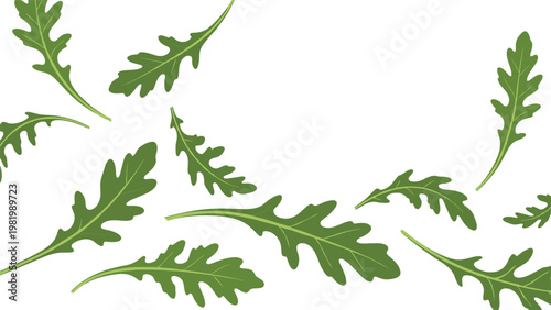 Scattered green arugula leaves falling across a plain white background for healthy food, cooking, and salad themed graphic designs.